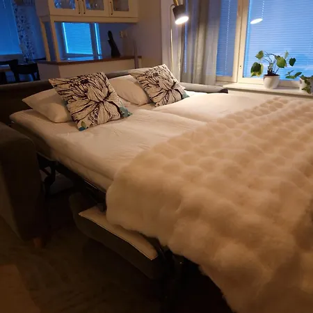 Top-floor With Sauna And Free Parking Near Center * 罗瓦涅米