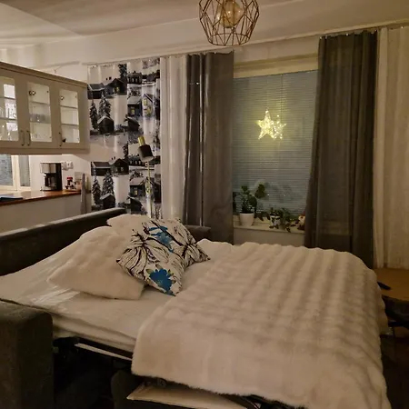 公寓 Top-floor With Sauna And Free Parking Near Center *