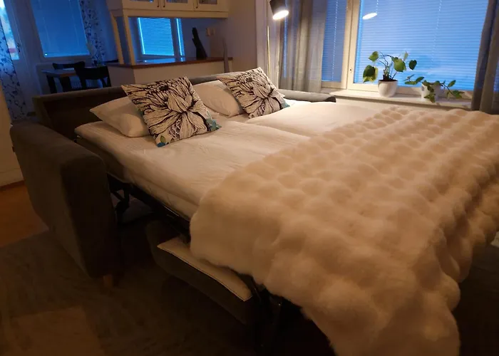 Top-floor With Sauna And Free Parking Near Center * Ροβανιέμι